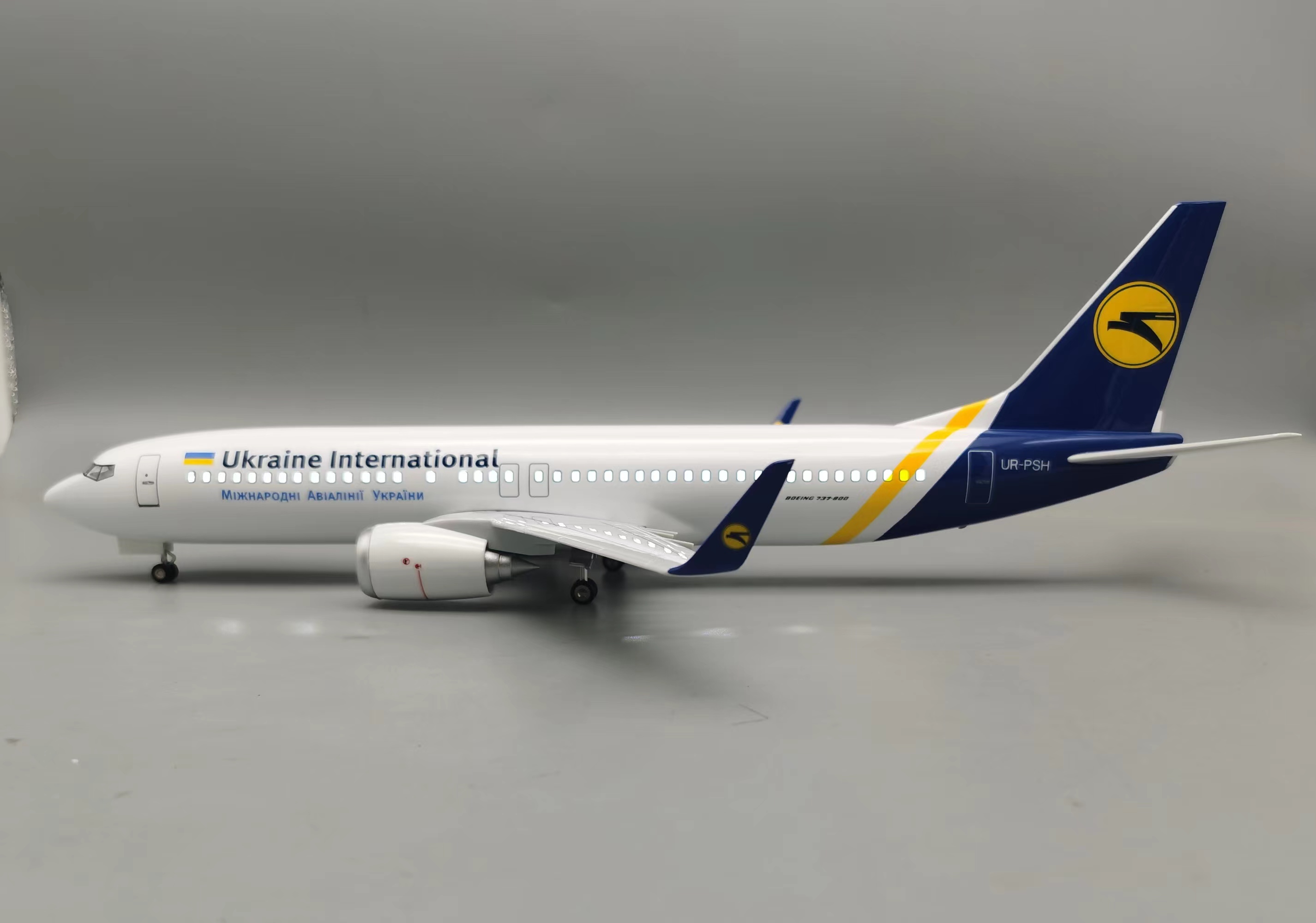 1/85 Large Scale Ukraine B737  - đánh giá và giá Model Kit Ukraine