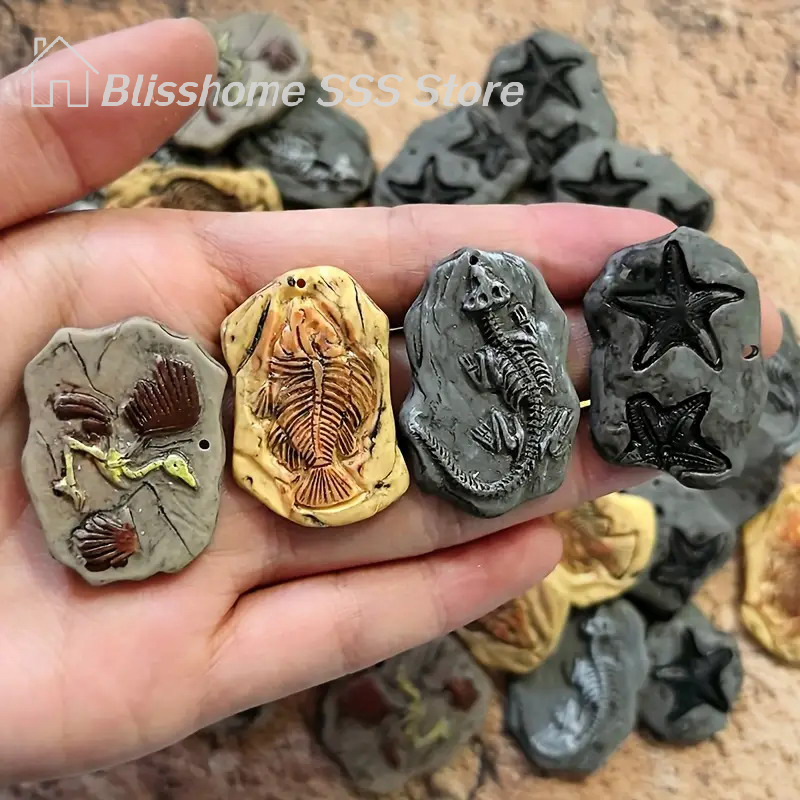 【S】Mini Dinosaur Fossil Model  - đánh giá và giá Model Kit Dinosaur