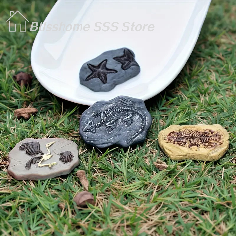 【S】Mini Dinosaur Fossil Model  - đánh giá và giá Model Kit Dinosaur