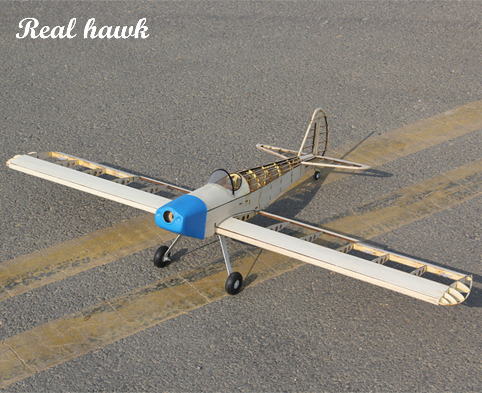 RC AirPlanes Laser Cut Balsa W - đánh giá và giá Frame Model Kit
