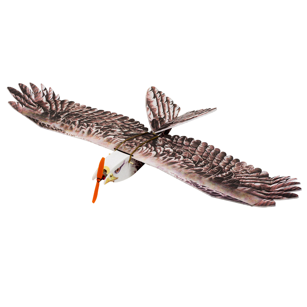 DW Hobby Eagle II EPP Airplane - đánh giá và giá Model Kit Motor