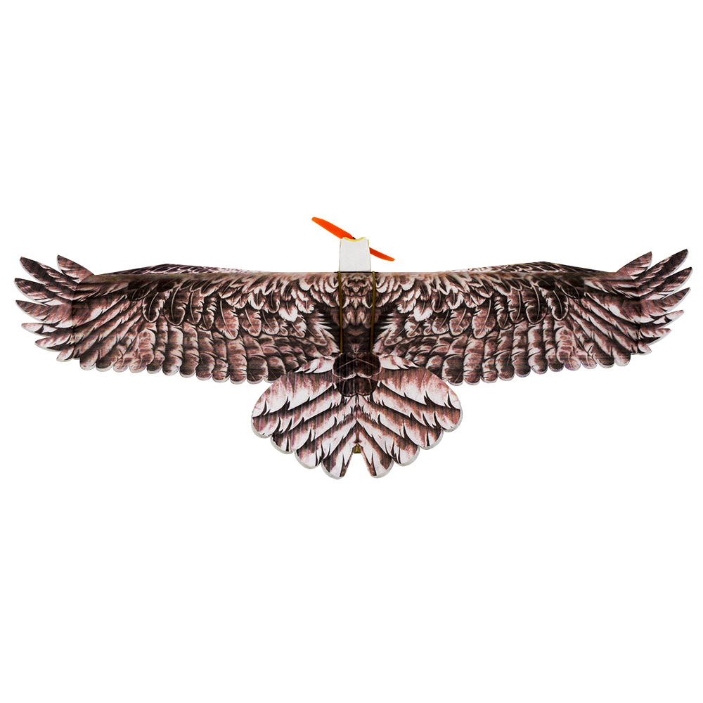 DW Hobby Eagle II EPP Airplane - đánh giá và giá Model Kit Motor