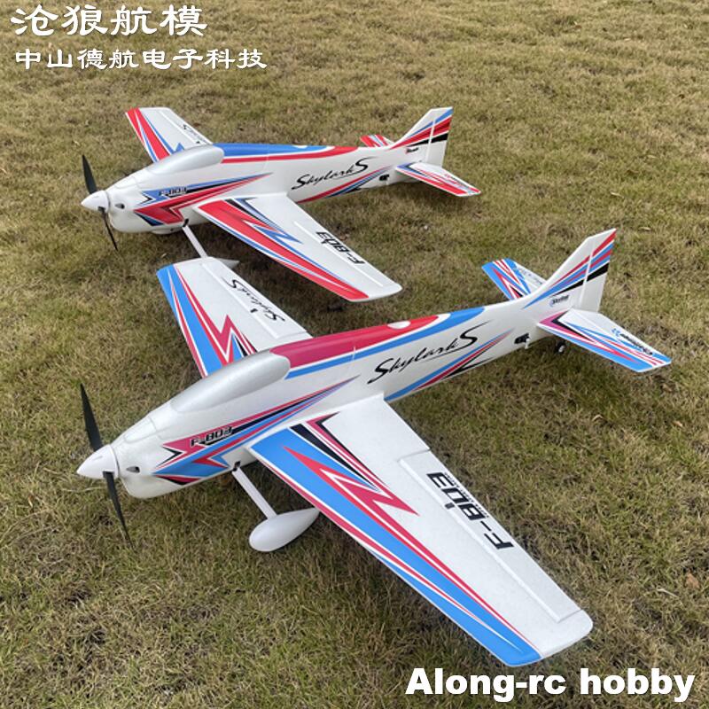 F803  F3A Skylarks 1000mm Wing - đánh giá và giá Model Kit Motor