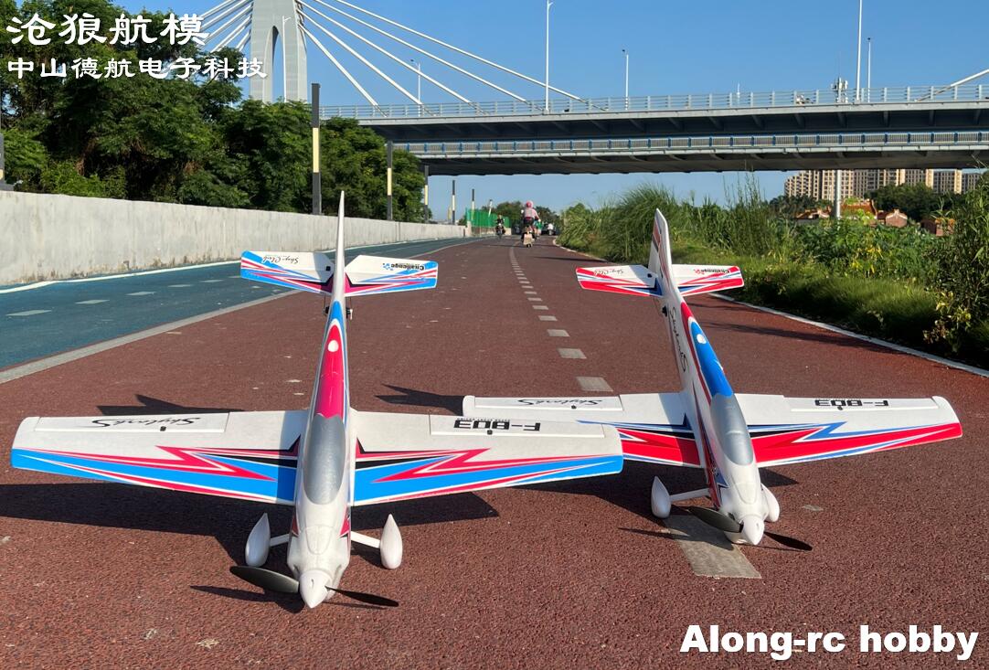F803  F3A Skylarks 1000mm Wing - đánh giá và giá Model Kit Motor