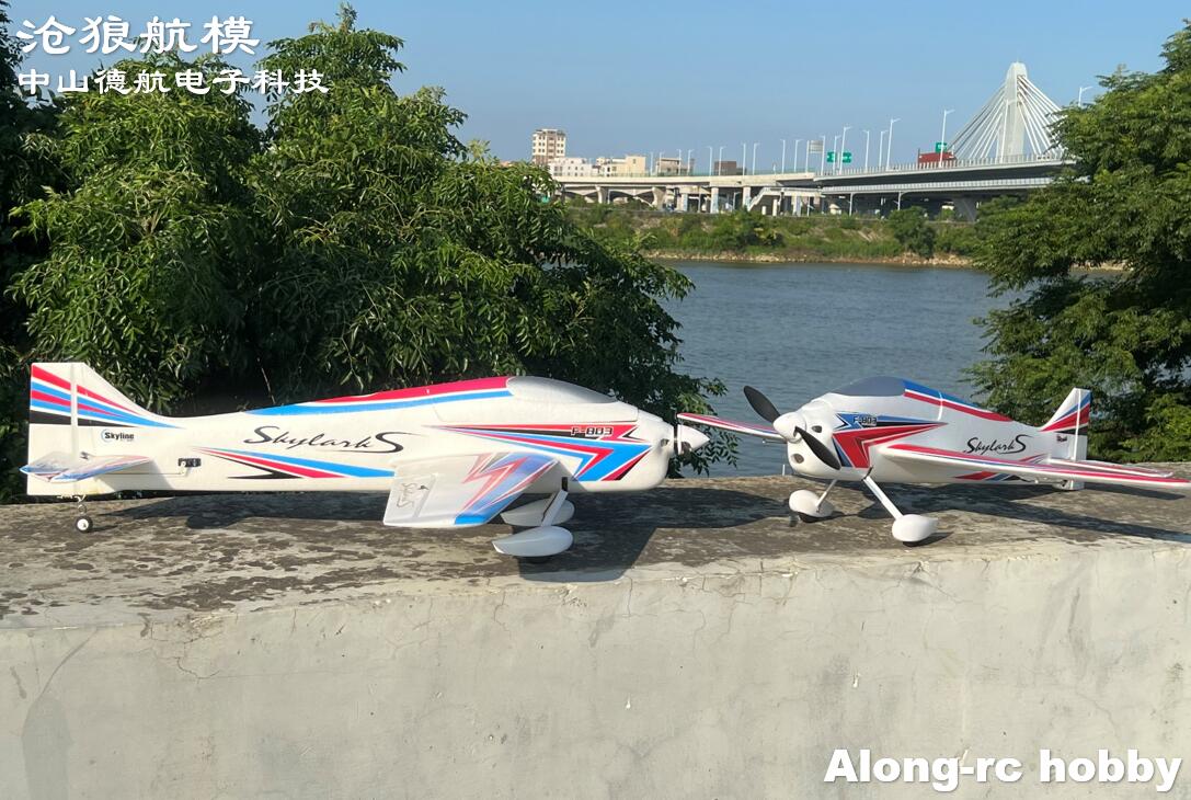F803  F3A Skylarks 1000mm Wing - đánh giá và giá Model Kit Motor