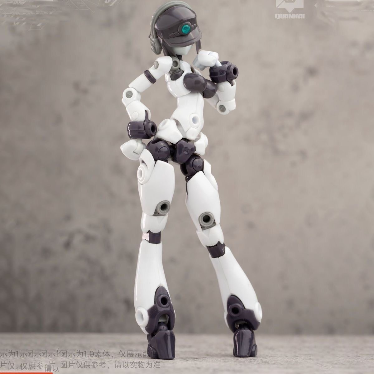Kit Gene Interference Series Q - đánh giá và giá Model Kit Robot