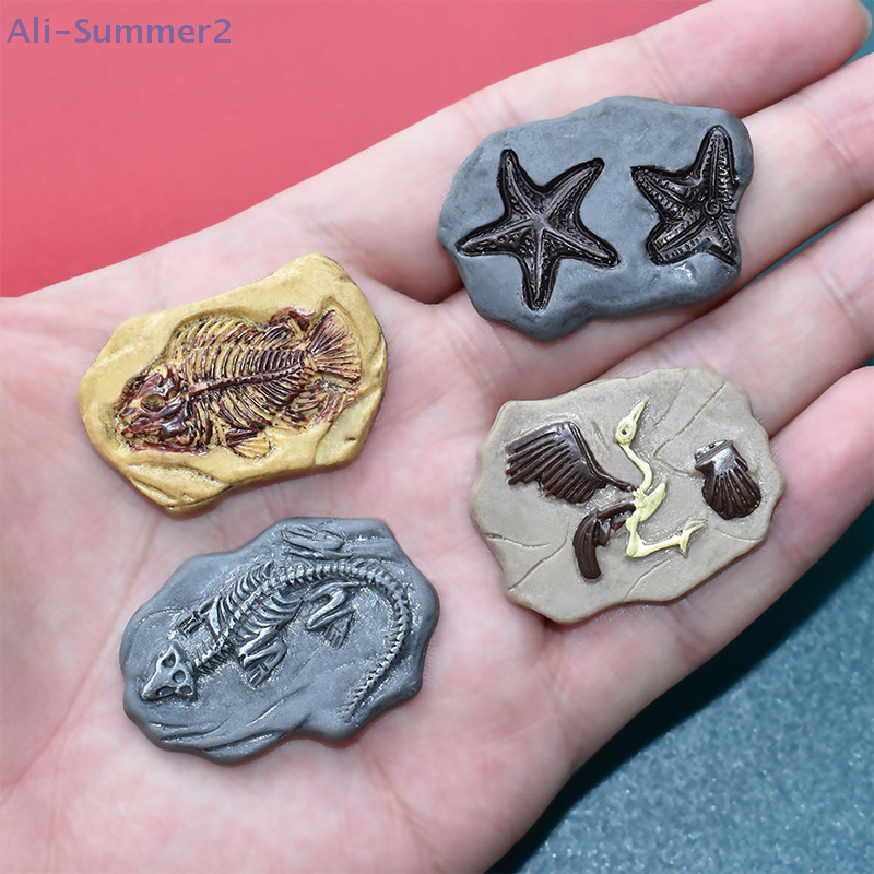 Mini Dinosaur Fossil Model Set - đánh giá và giá Model Kit Dinosaur