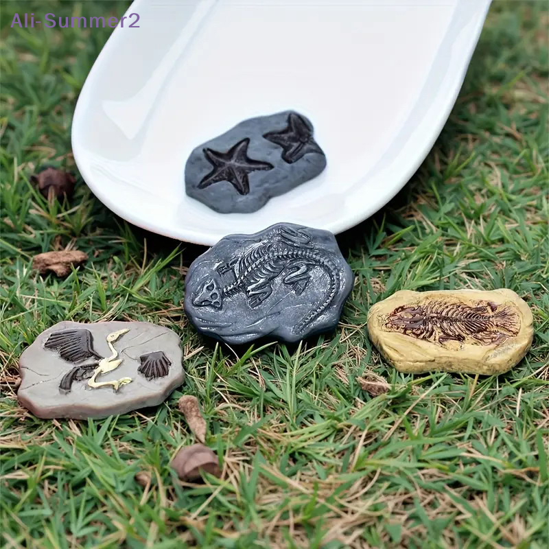 Mini Dinosaur Fossil Model Set - đánh giá và giá Model Kit Dinosaur
