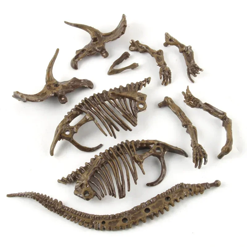 Dinosaur Excavation Fossil Arc - đánh giá và giá Model Kit Dinosaur